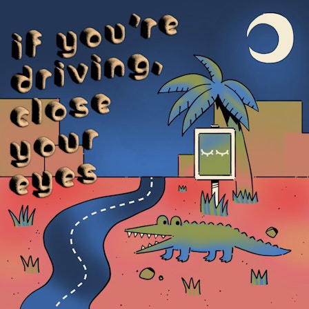 If You're Driving, Close Your Eyes