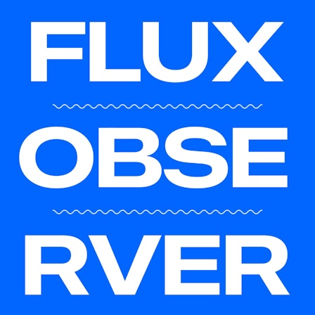 Flux Observer