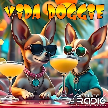 Vida Doggie - Start you and your dog’s day with a little Latin Flavor.    It’s one Spicy show - Pets & Animals on Pet Life Radio (PetLifeRadio.com)