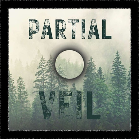 Partial Veil