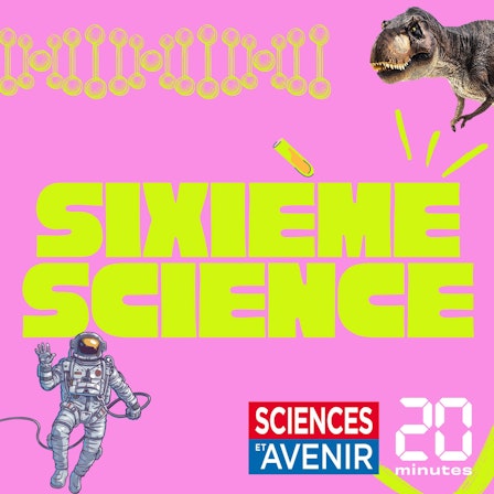 Sixième Science