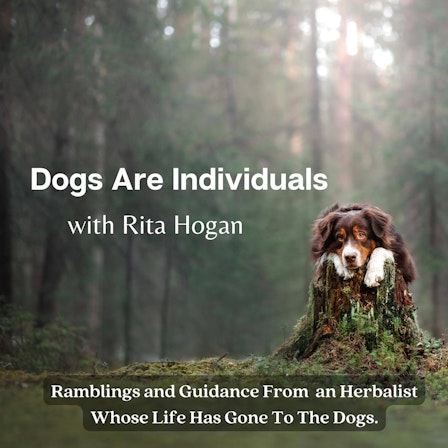 Dogs Are Individuals