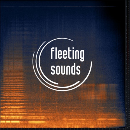 fleeting sounds