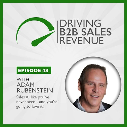 Driving B2B Sales Revenue