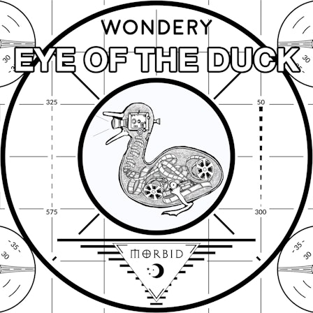 Eye of the Duck