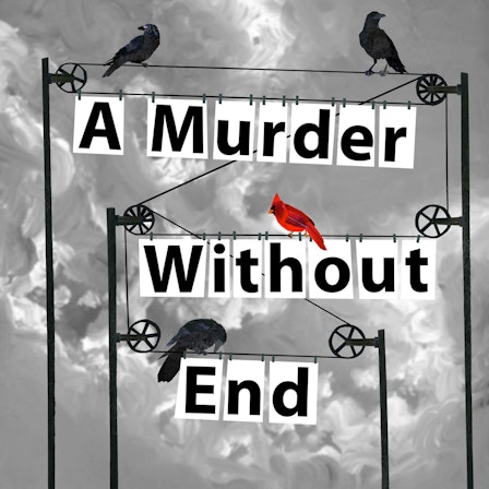 A Murder Without End