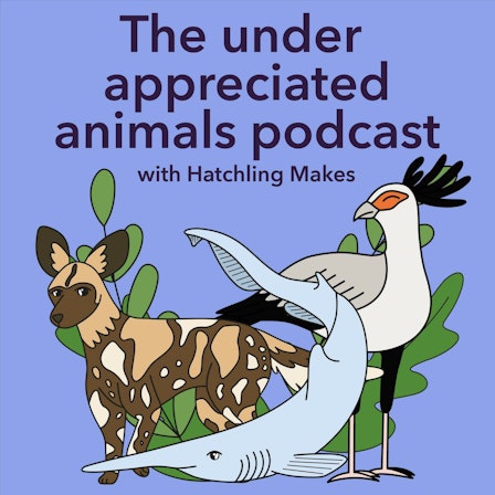 The under appreciated animals podcast with Hatchling Makes