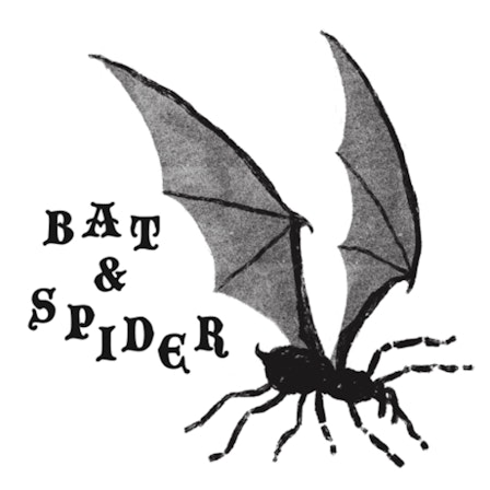 BAT AND SPIDER