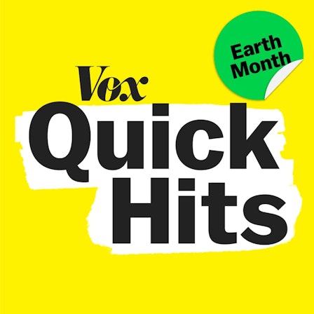 Vox Quick Hits