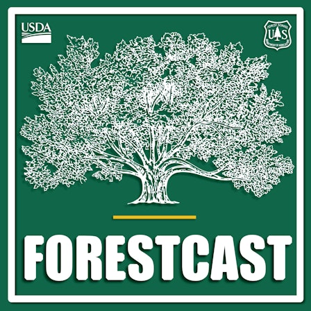 Forestcast