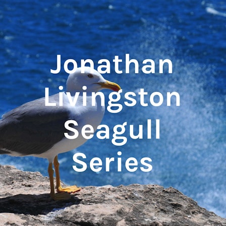 Jonathan Livingston Seagull Series