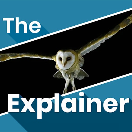 The Explainer