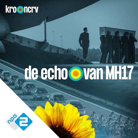 De echo van MH17