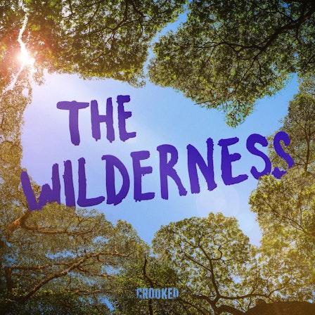 The Wilderness