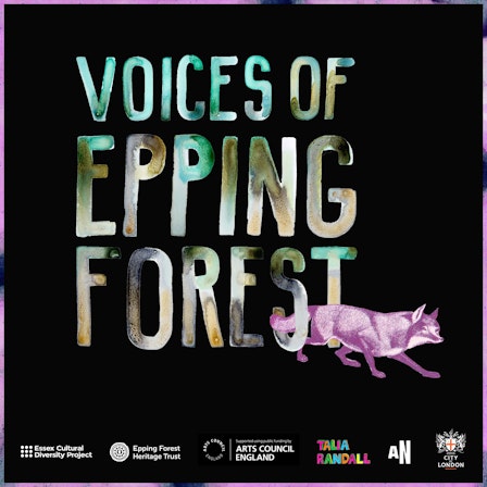 Voices of Epping Forest