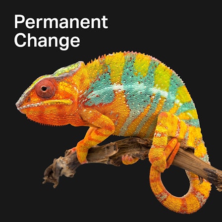 Permanent Change - Selbstbestimmt in die Zukunft