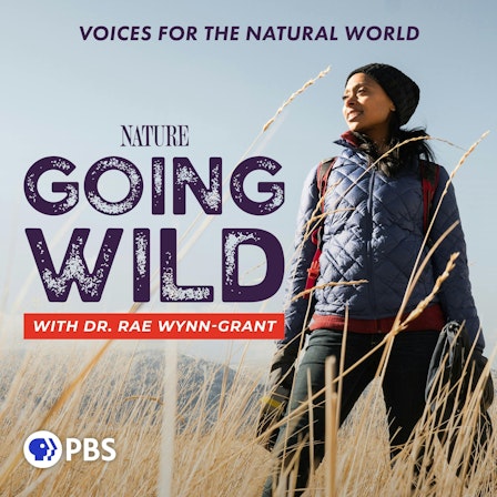 Going Wild with Dr. Rae Wynn-Grant