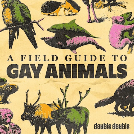 A Field Guide to Gay Animals