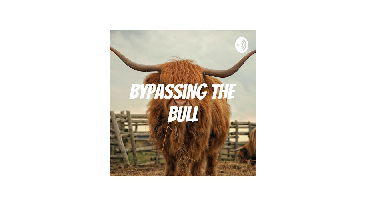 Bypassing The Bull bypassing-the-bull