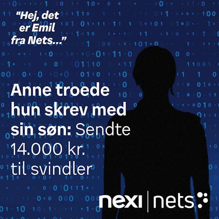 Hej, det er Emil fra Nets...