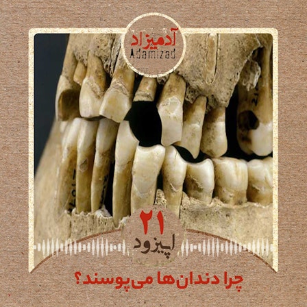 رادیو آدمیزاد / Adamizad /ستا