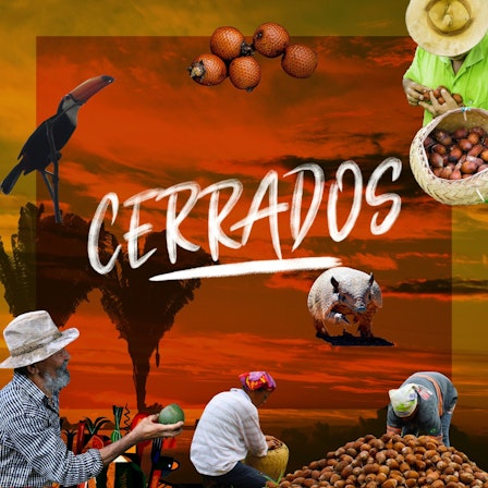 Cerrados