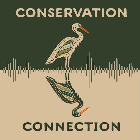 Conservation Connection
