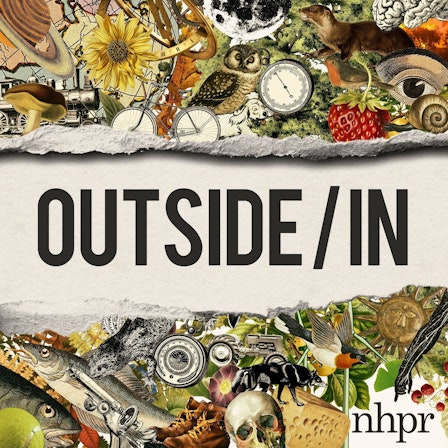 Outside/In
