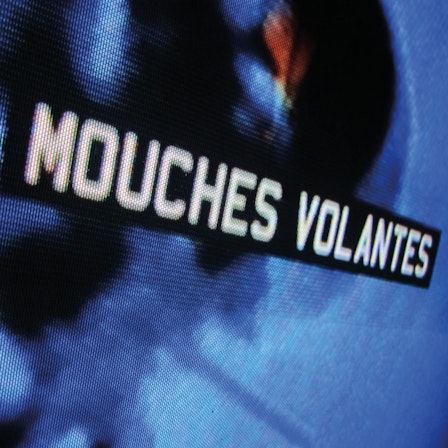 Mouches Volantes