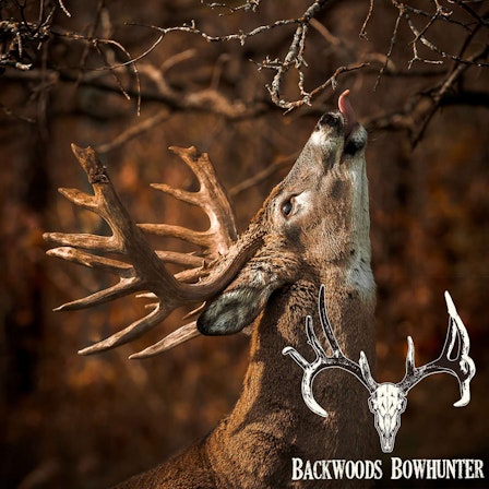 Backwoods Bowhunter