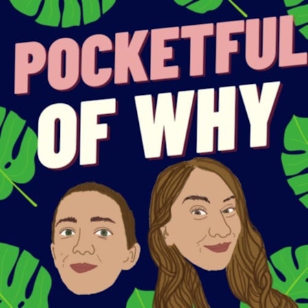 Pocketful of Why