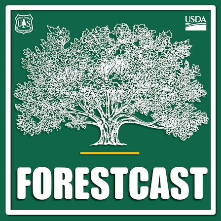 Forestcast