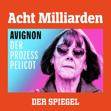 Acht Milliarden – Avignon: Der Prozess Pelicot