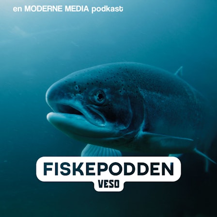 Fiskepodden