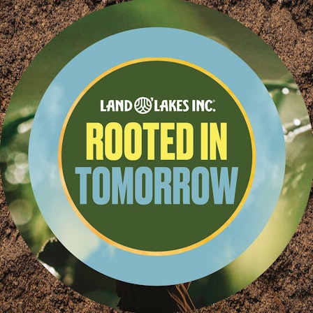 Rooted In Tomorrow