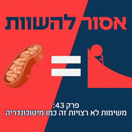 אסור להשוות