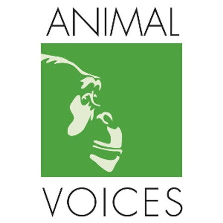 Animal Voices