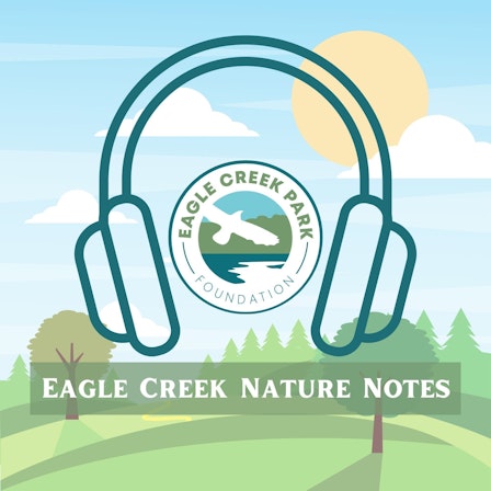 Eagle Creek Nature Notes