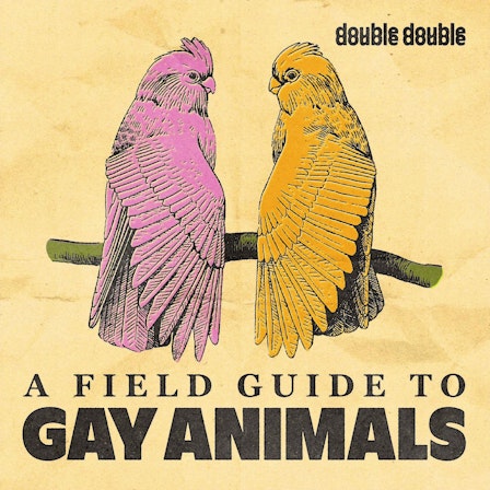 A Field Guide to Gay Animals