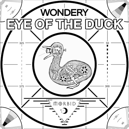 Eye of the Duck