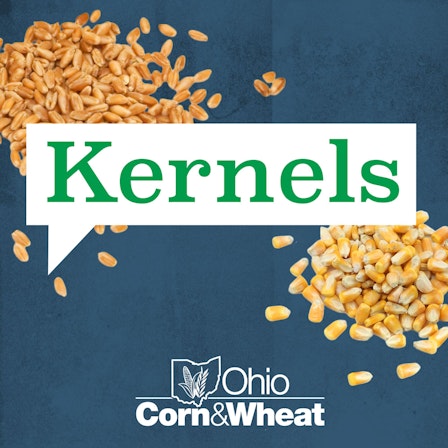 Kernels with Ohio Corn & Wheat