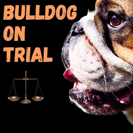 Bulldog  On Trial