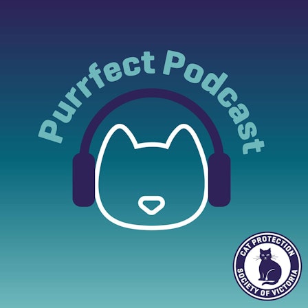 Purrfect Podcast