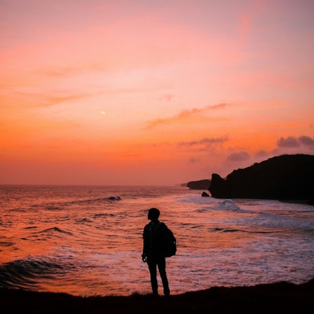 Finding Peace in Chaos