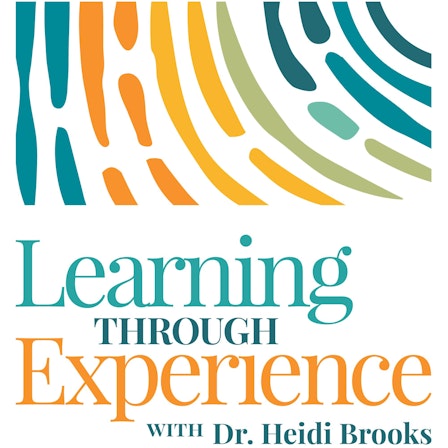 Learning through Experience