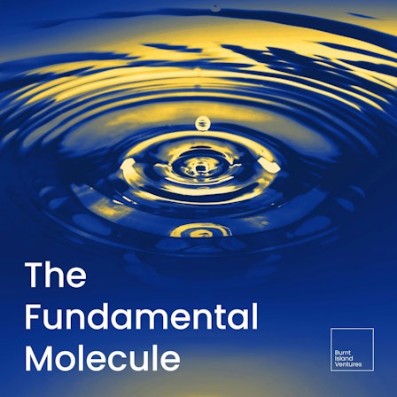 The Fundamental Molecule