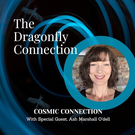 The Dragonfly Connection