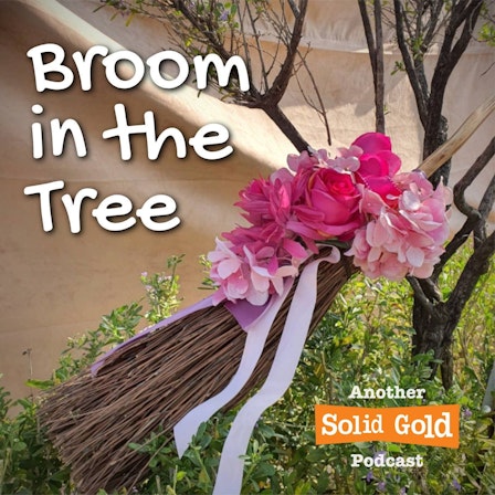 Broom in the Tree
